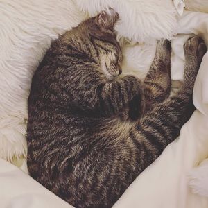 Meet your Posher, Brenda